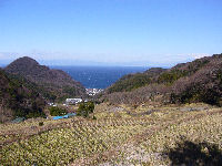 棚田 棚田