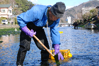 川のり採り 川のり採り