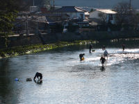 川のり 川のり