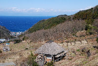 棚田 棚田