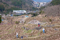 棚田草刈作業