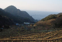 棚田 棚田