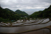 石部の棚田 石部の棚田