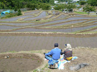 石部棚田の田植