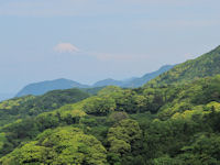 石部棚田の風景