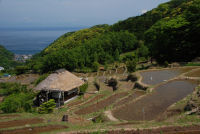 棚田 棚田