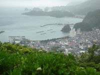 牛原山あじさいの丘 牛原山あじさいの丘