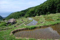 棚田 棚田