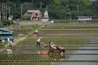 田植真っ盛り