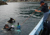 雲見海底清掃