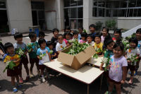 姉妹都市からの贈り物