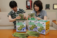 姉妹都市からの贈り物