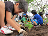 三聖塾生とみどりの少年団員が十字の園で花壇づくり