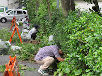 松崎町職員組合清掃作業