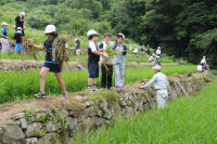 棚田草片付け作業