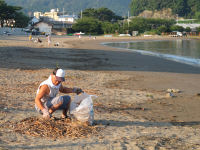 海岸清掃