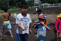 鮎のつかみどり