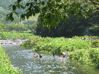 那賀川で水浴び