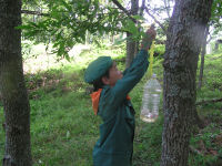 スズメバチトラップ