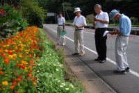 花壇コンクール