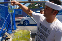 川のり養殖実験