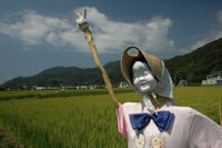 中耕地のカカシ 中耕地のカカシ