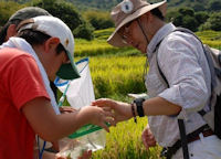 棚田百笑くらぶ「生き物観察会」