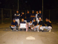 地区対抗野球大会 地区対抗野球大会