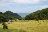 棚田 棚田