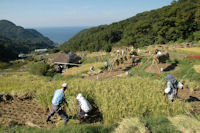 石部棚田収穫祭