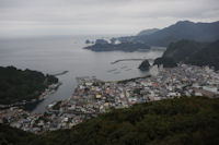 今日は曇りの一日