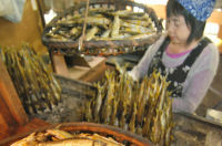 焼き鮎づくり最盛期 焼き鮎づくり最盛期