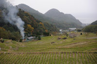 石部棚田も紅葉し始めました