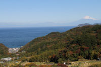 石部棚田からの富士山