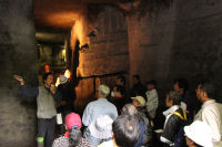 伊豆半島ジオパーク構想地域研究会 伊豆半島ジオパーク構想地域研究会