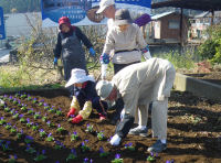 建久寺花壇植え替え作業