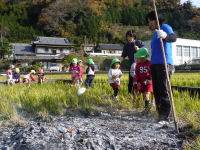 イモ焼き イモ焼き