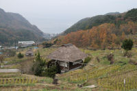 棚田 棚田