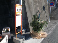 門松 門松