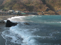 海 海