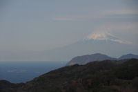 石部棚田からの富士山