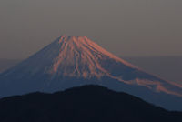 新春の富士山 新春の富士山