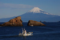 今日の富士山