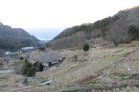 棚田 棚田