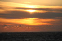 夕日 夕日