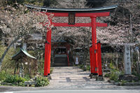 伊那下神社の桜 伊那下神社の桜