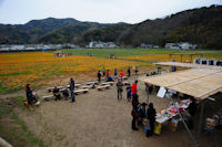 那賀花畑 那賀花畑