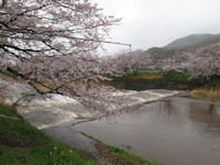 今日は雨 今日は雨