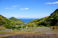 石部の棚田 石部の棚田