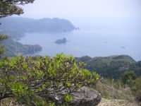 高通山のつつじ 高通山のつつじ